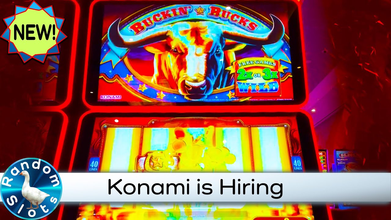 New⭐️Buckin' Bucks Slot Machine Bonus