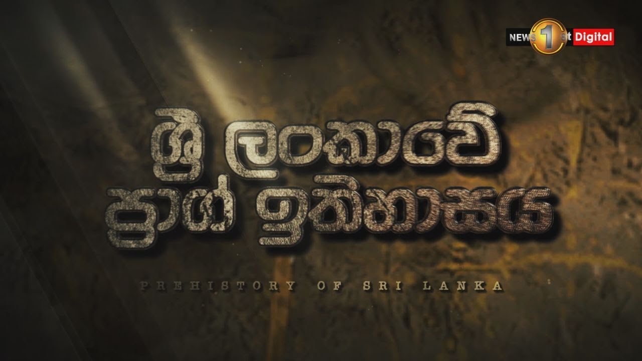 Sri Lanka's Prehistory | A panel of eminent archeologists talk to Chevaan Daniel (Sinhala, 2020)
