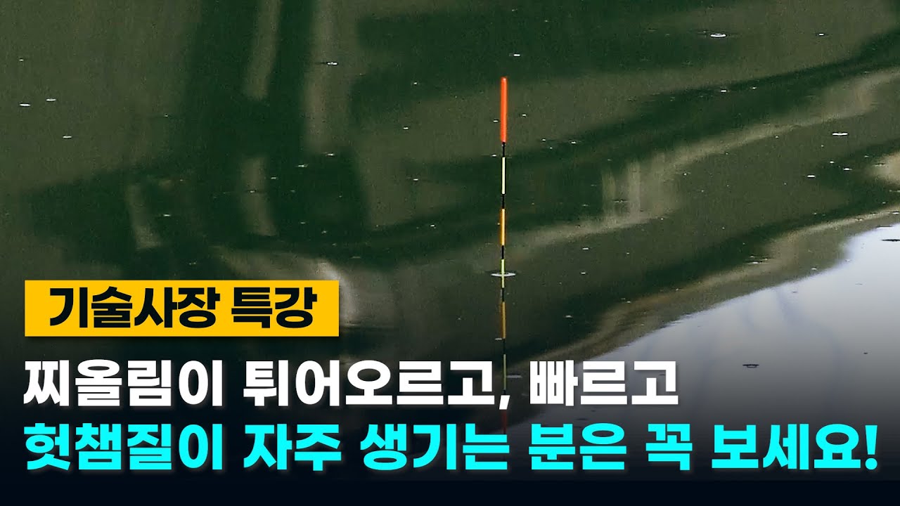 [✨️17만회✨️] 당신의 찌올림은 왜 빠르고 헛챔질이 날까? 바로 해결!