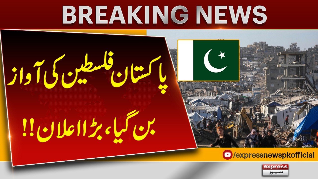 Pakistan Raises Strong Voice for Palestine | Major Announcement Made | Pakistan News