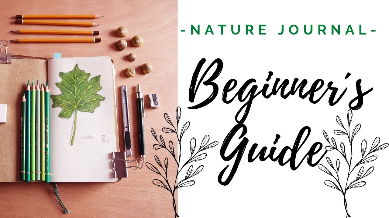 Nature Journaling: A Beginner´s Guide