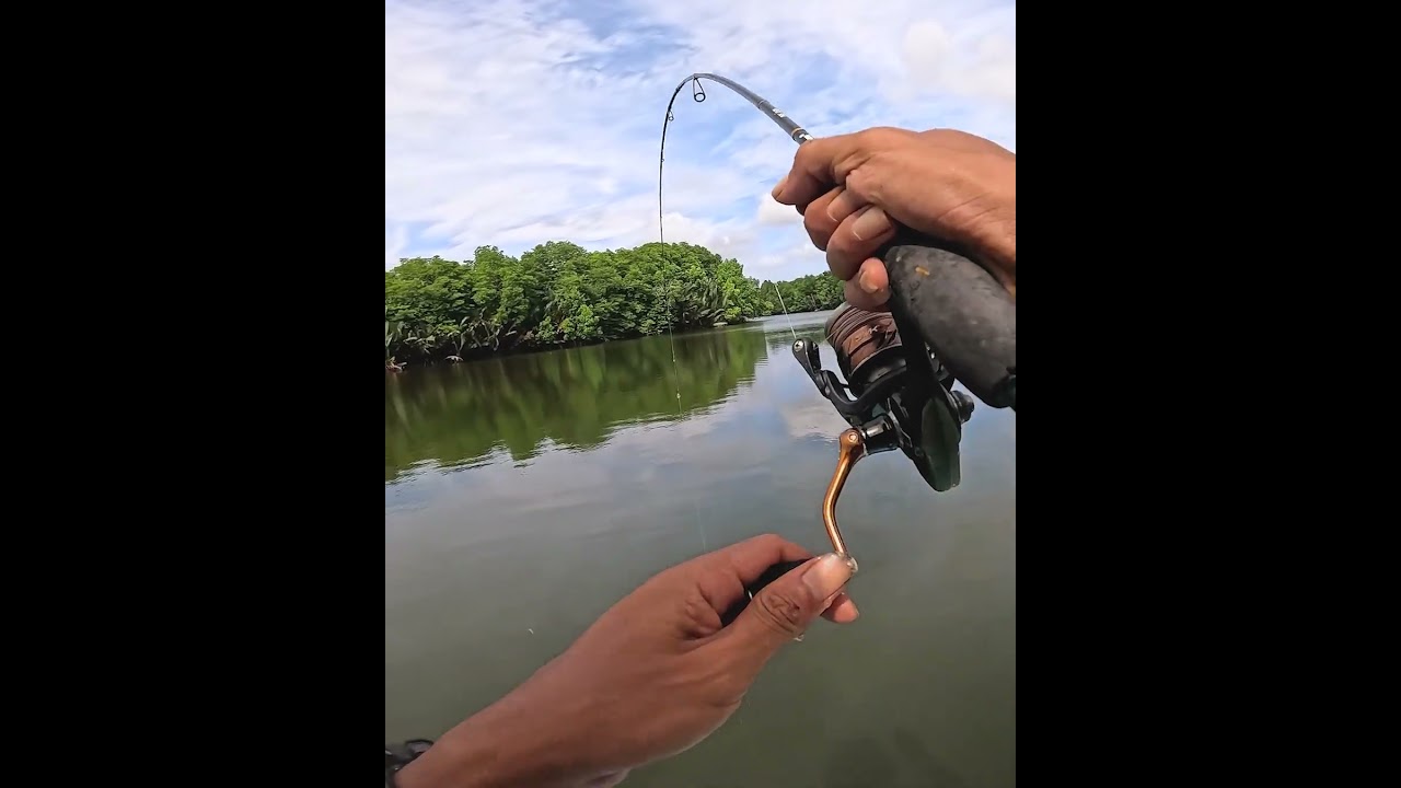 Pancing Hitam Akhirnya Di Sambar Ikan Laut 🫨#fishing  #mancing