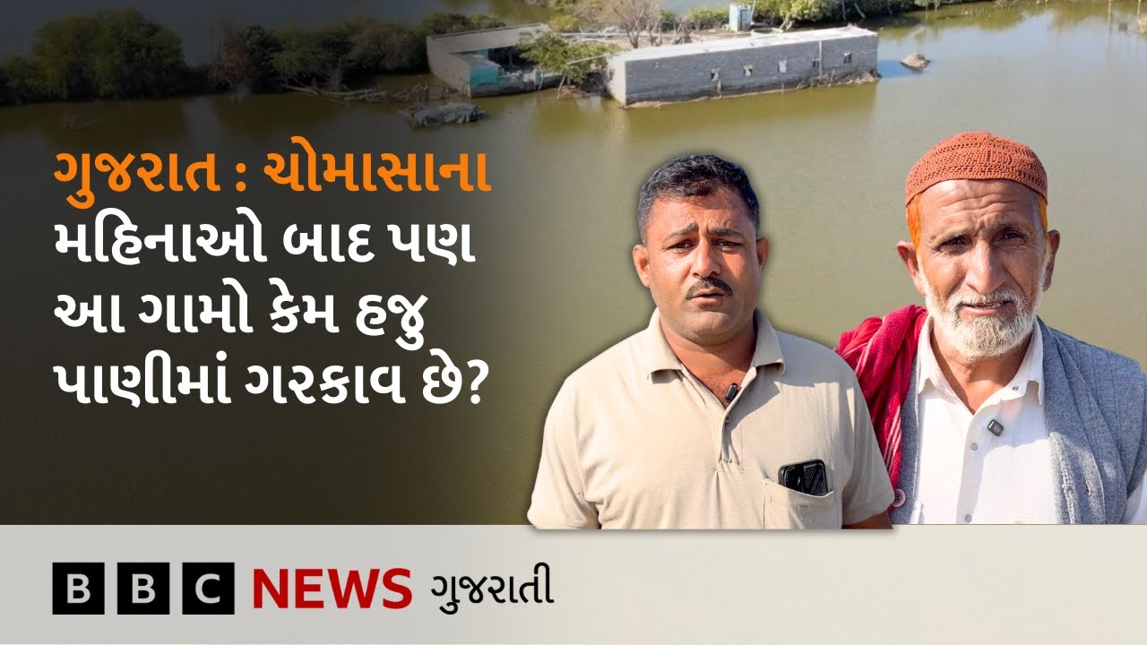 Gujarat ના આ ગામો શિયાળામાં પણ પાણીમાં ગરકાવ કેમ છે?