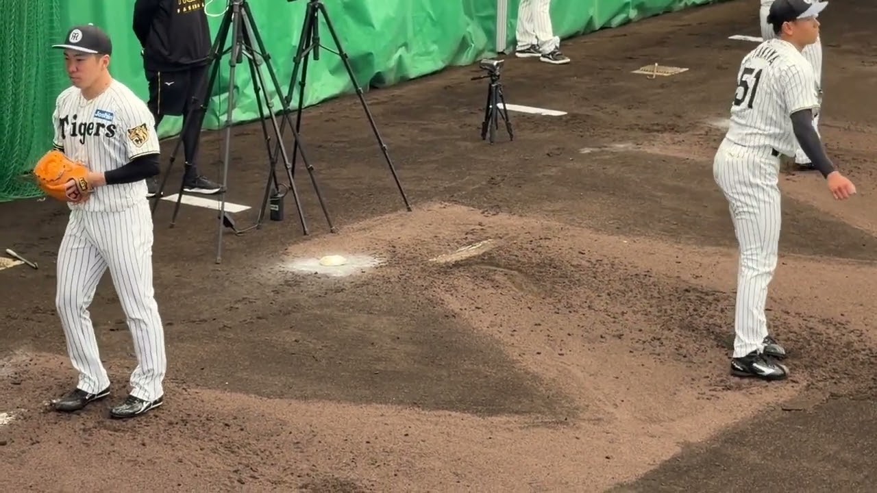 【仕上がり上々】阪神タイガース 沖縄宜野座キャンプ｜ブルペン投球練習