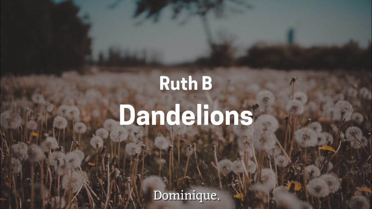 Ruth B. - Dandelions [slowed + reverb] with Lyrics