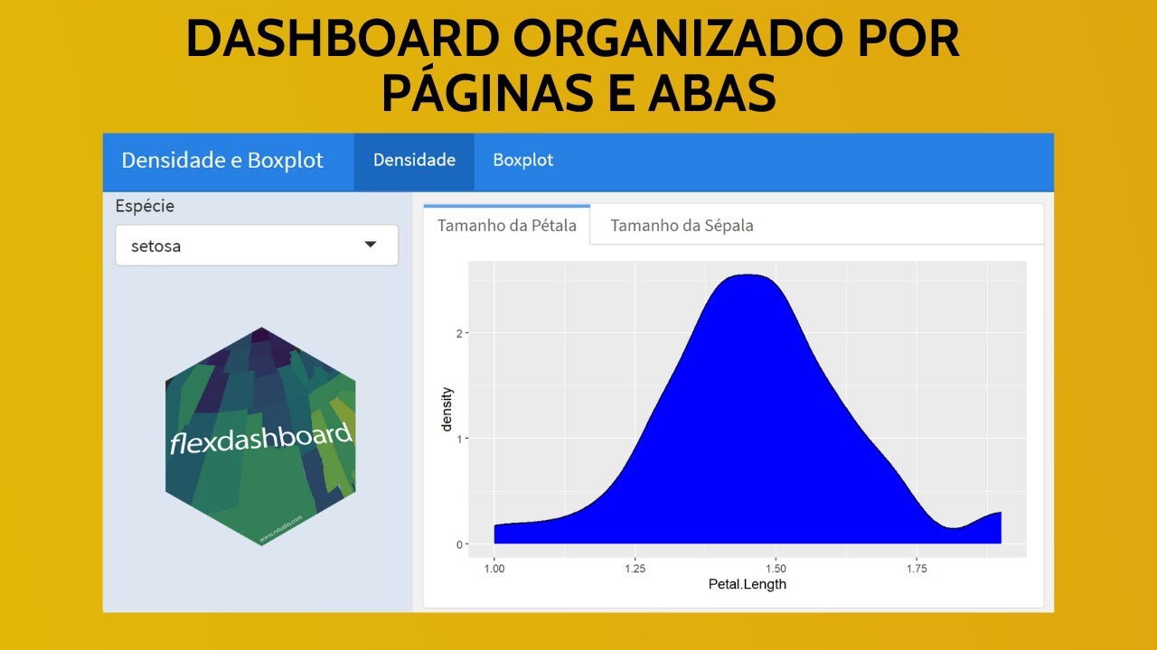 Como Fazer um Dashboard com V&aacute;rias P&aacute;ginas e V&aacute;rias Abas no Flexdashboard [Sem Mist&eacute;rio]