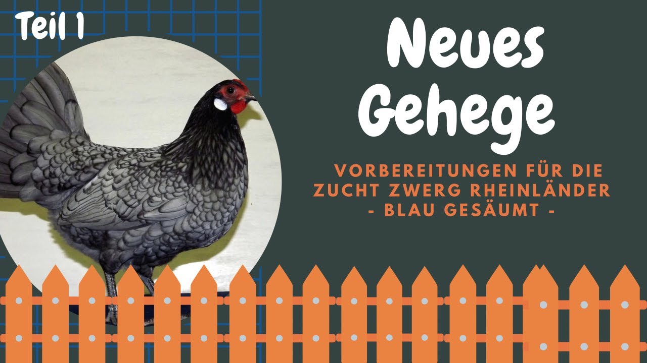 #07 Freilaufgehege f&uuml;r die Zwerg Rheinl&auml;nder