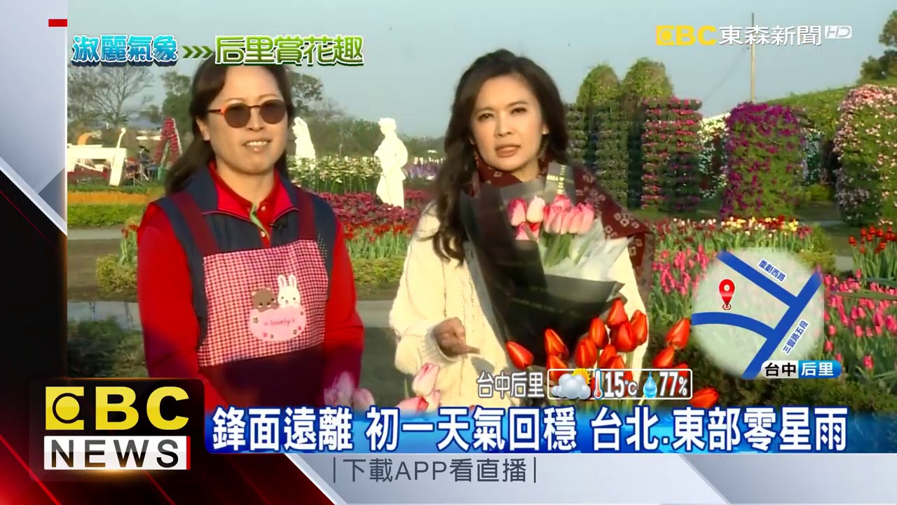賞花偽出國 萬株鬱金香花海如置身荷蘭