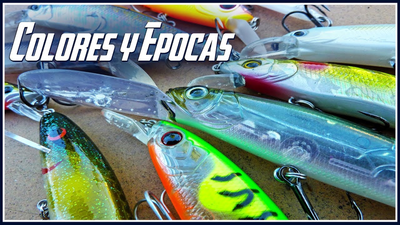 Cuando PESCAR con JERKBAITS | Mejores COLORES y Epocas