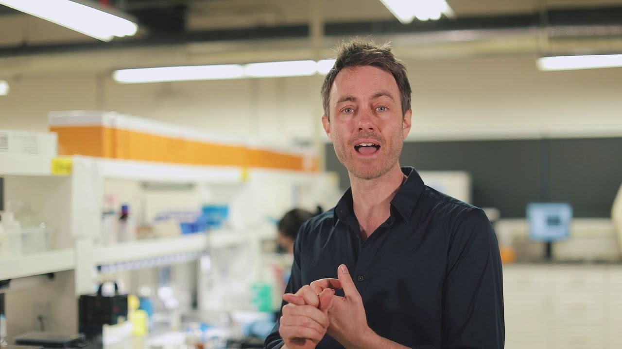 DNA Diets by Gene Food