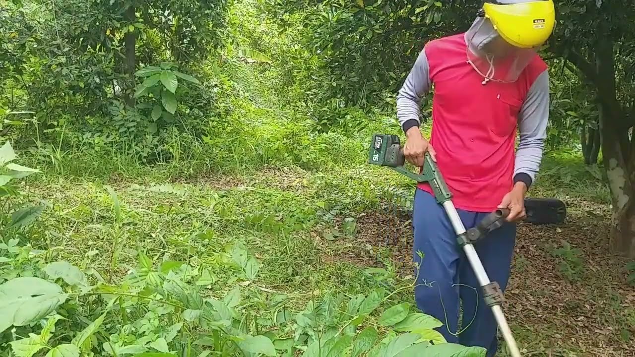Effortless Weed Clearing with Portable Grass Cutter | Satisfying Garden Work
