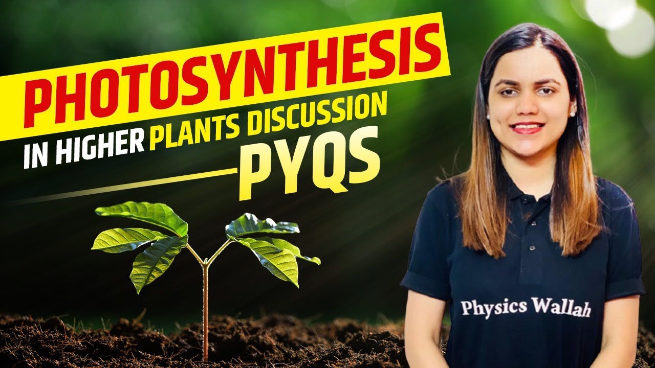 PHOTOSYNTHESIS IN HIGHER PLANTS DISCUSSION : Important Concepts & PYQs | Physics Wallah