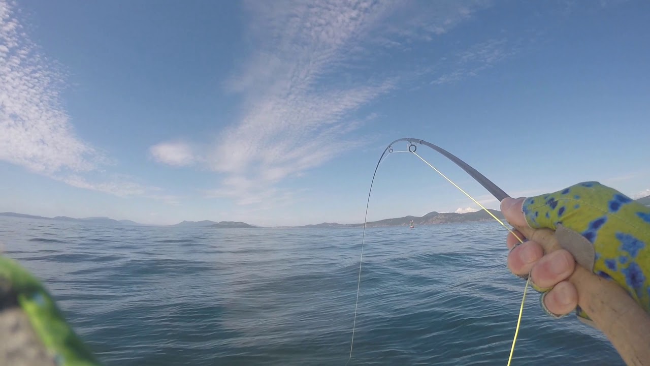 San Juan Islands Fly Fishing in 30 to 50 feet of saltwater