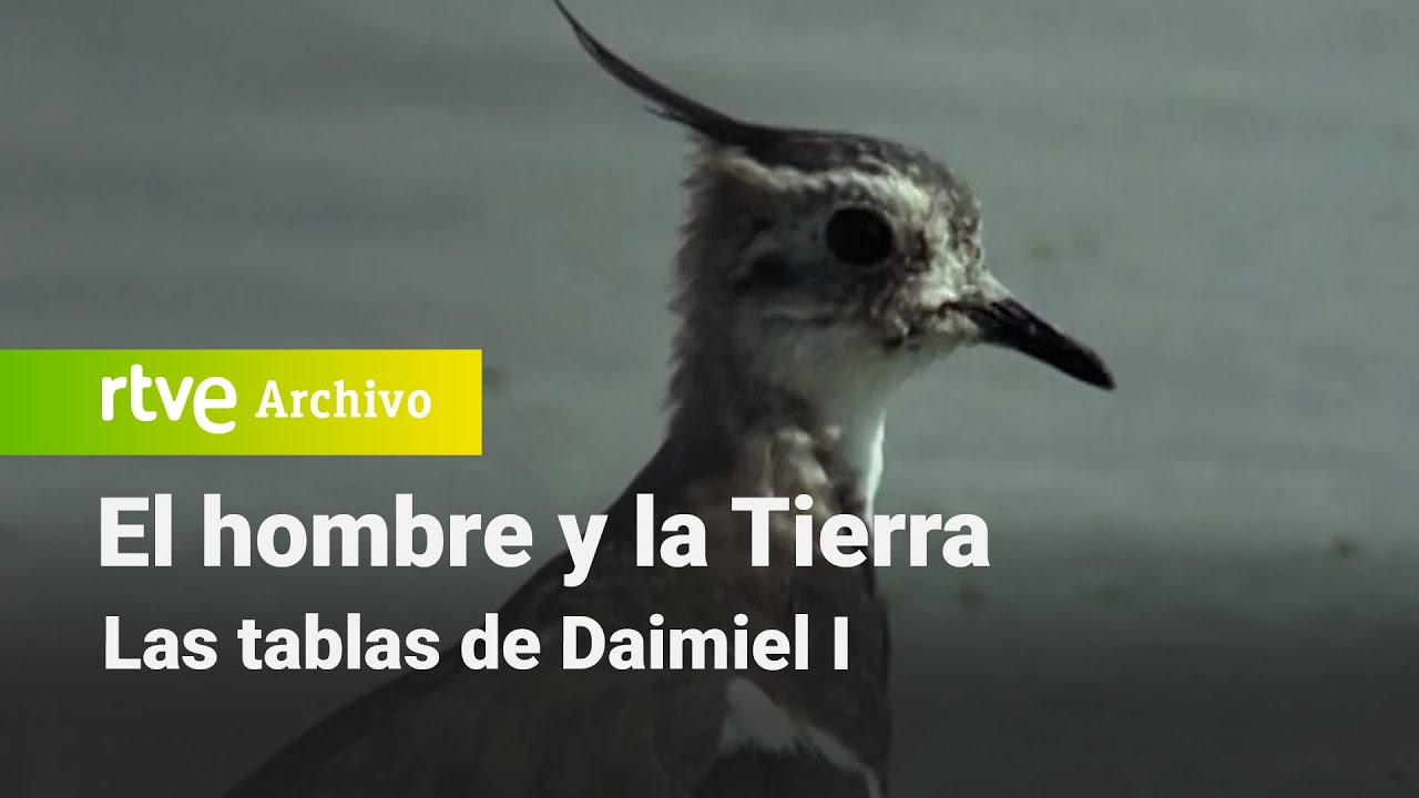 El hombre y la tierra: Cap&iacute;tulo 34 - Las tablas de Daimiel I | RTVE Archivo