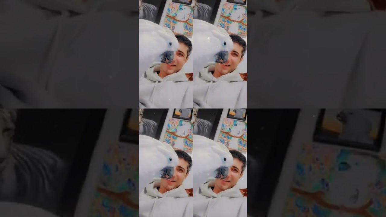 omg🥰 look at your face Joseph 😍