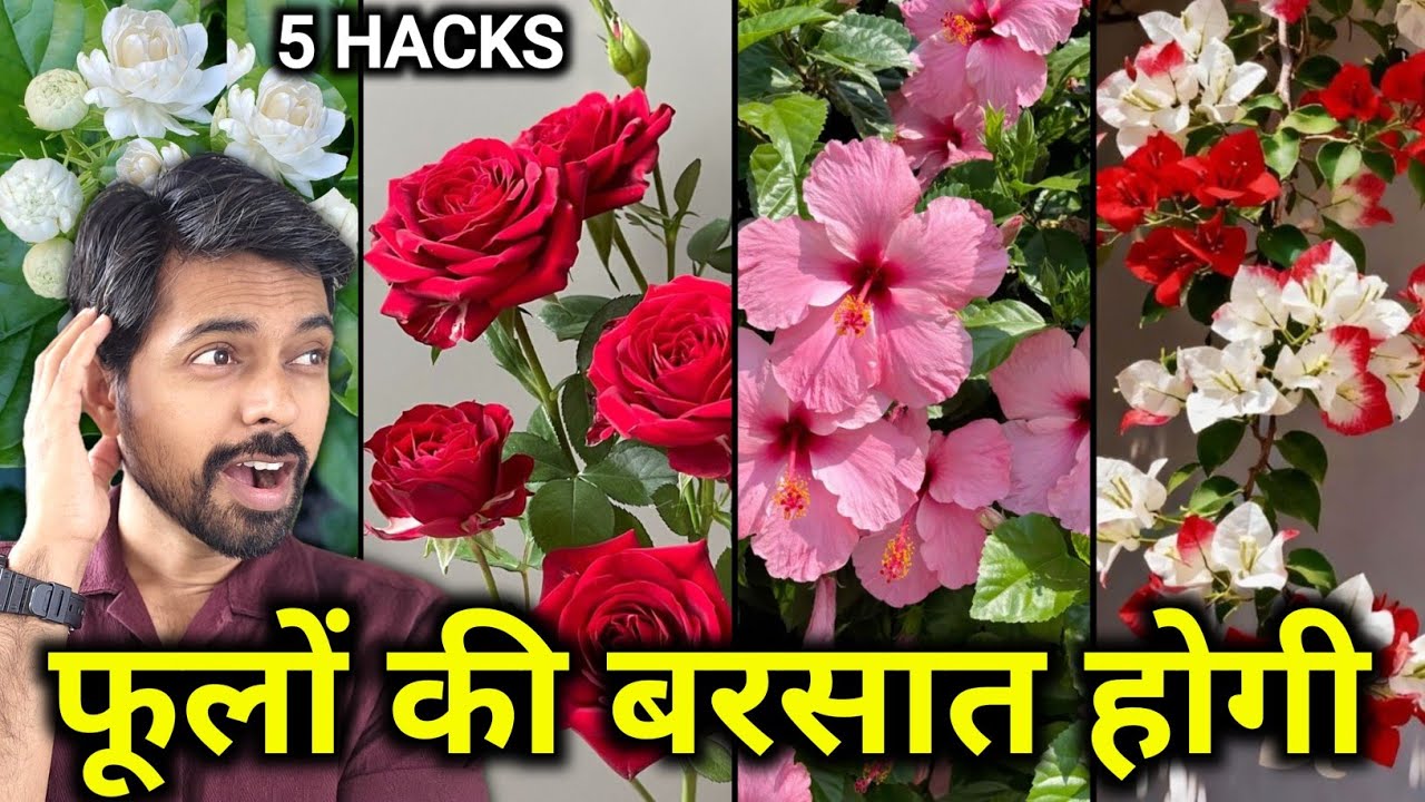 फूलों की बरसात होगी सभी पौधों में | My 5 Beginner Gardening Hacks