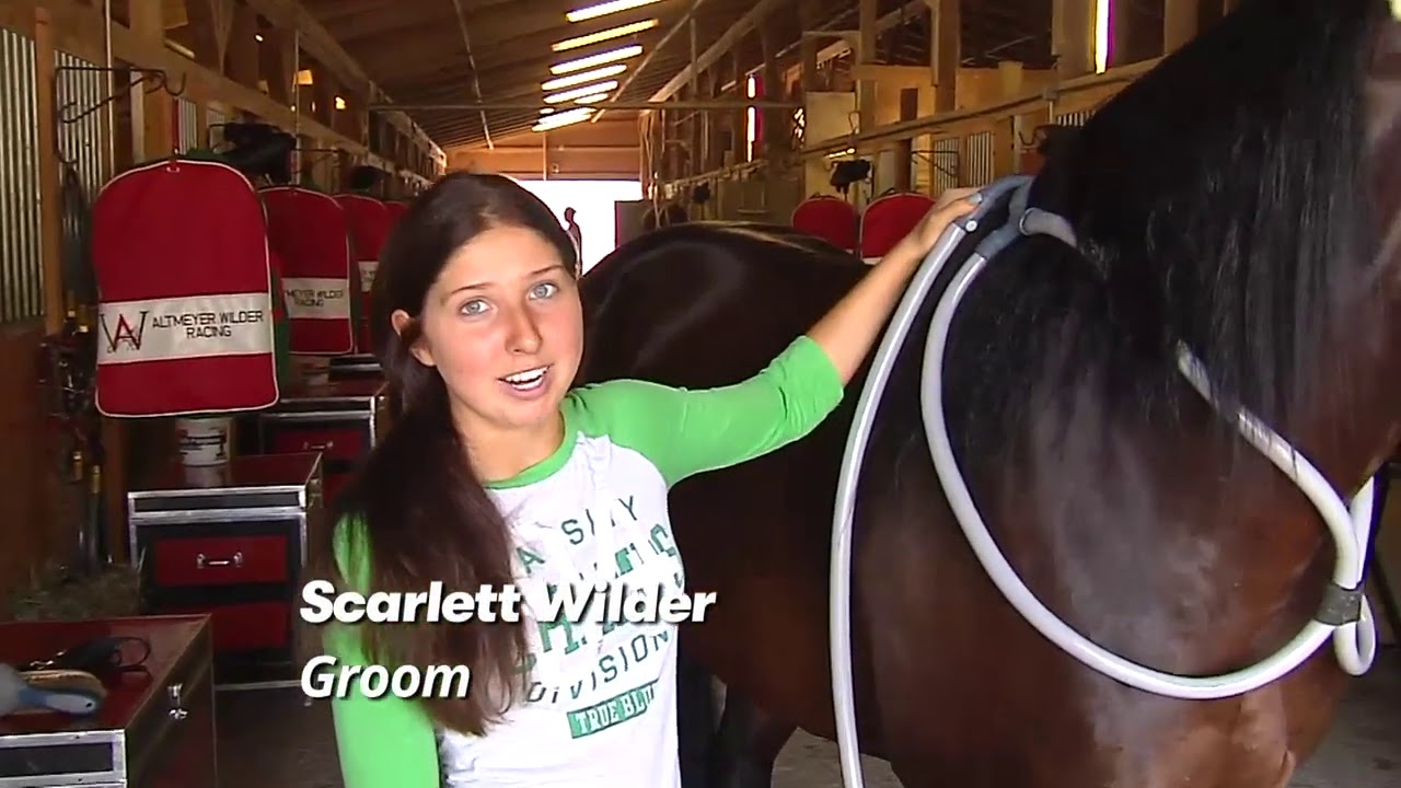 Care of a Standardbred
