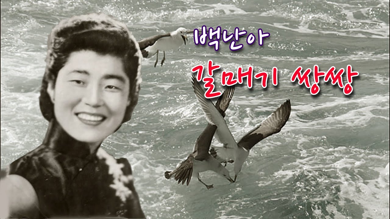 백난아-갈매기 쌍쌍/영상출연 가수 보배