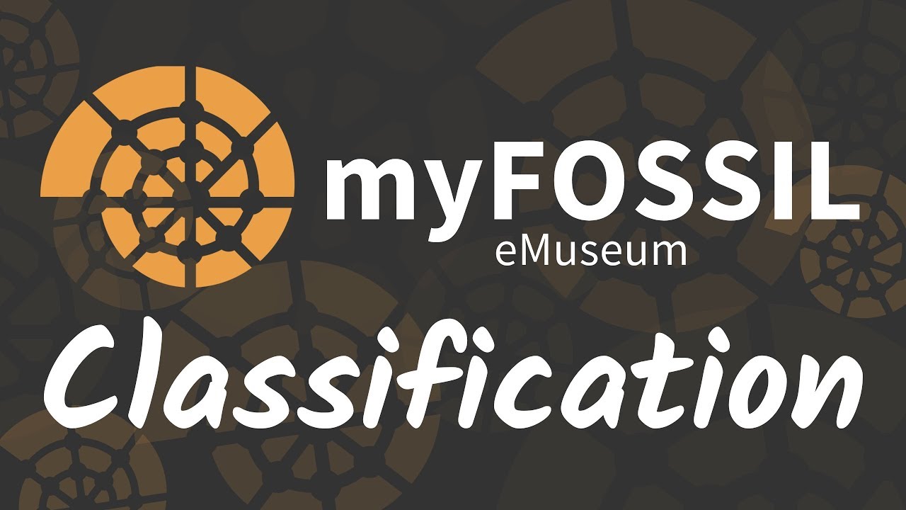 eMuseum Series: Classification