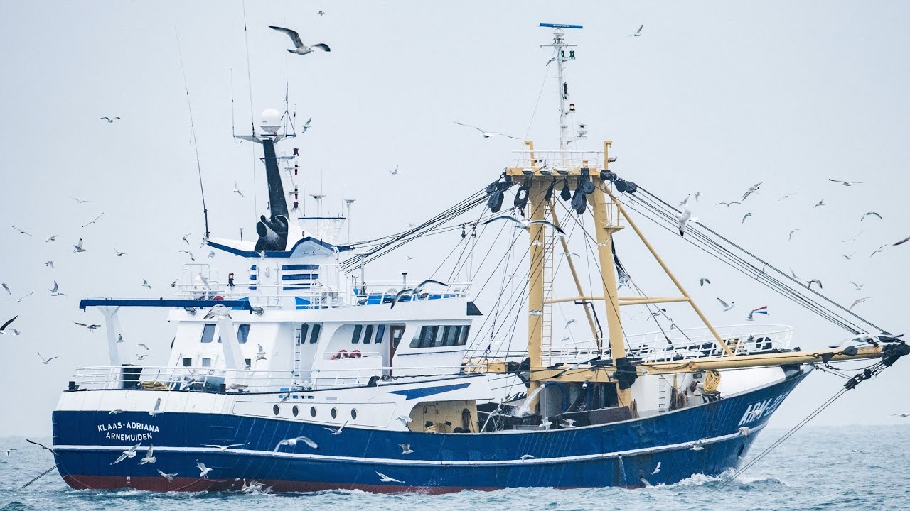 Manche : un chalutier français a été attaqué par un bateau de pêche britannique