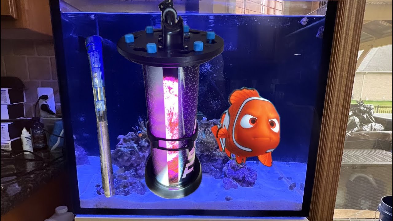 Redsea 170  G2 update and equipment issue 4K
