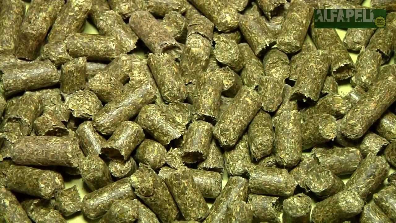 Alfalfa peletizada. ALFAPELL
