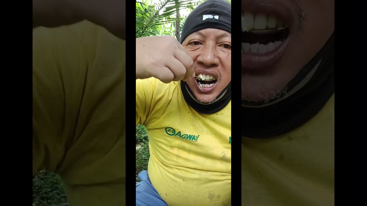 Buhay bukid