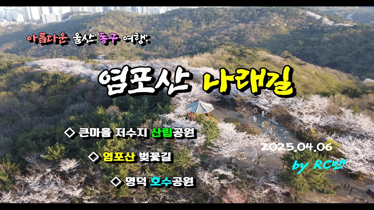 [RC맨] 울산 염포산 나래길
