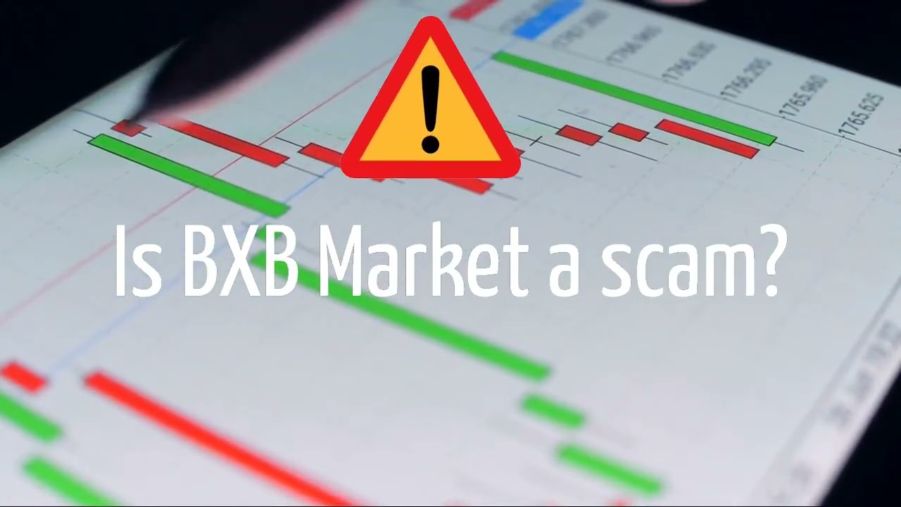 Bxb Market (bxbmarket.com) Review: Scam or legit? The analysis