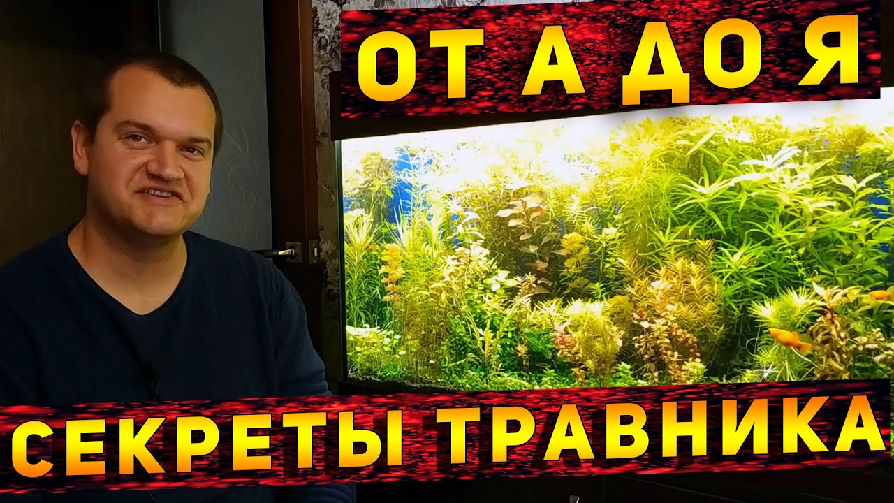 Детальный обзор  по содержанию аквариума травника от Артема и немного о перезапуске!
