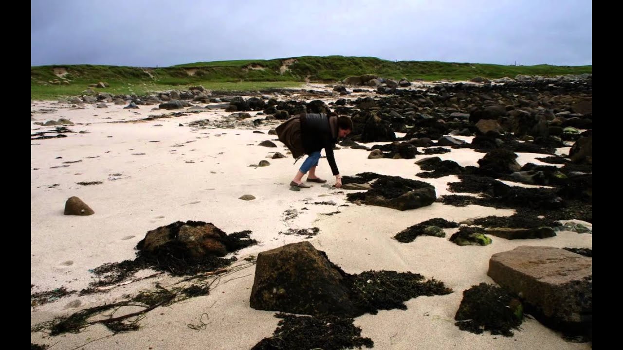 Irish coast~