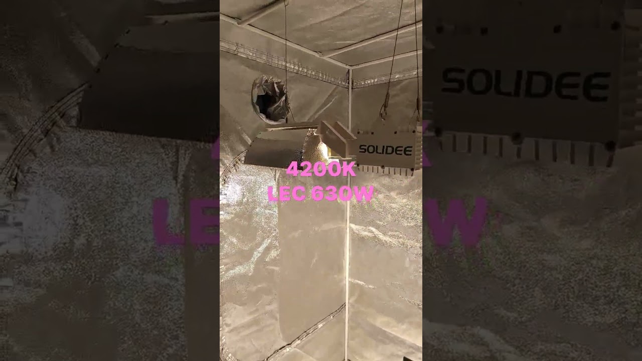 SOLIDEE LEC 630W
