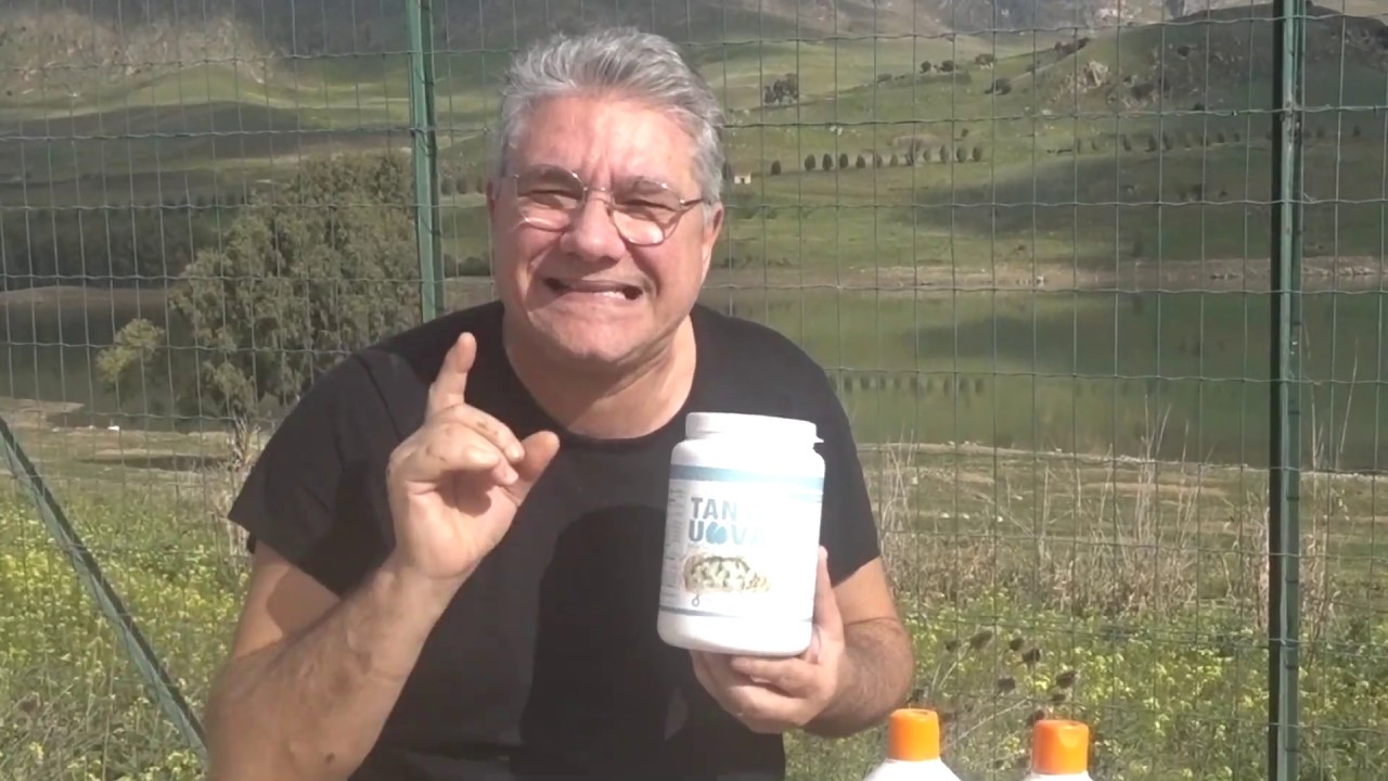 Tante uova Chemifarma