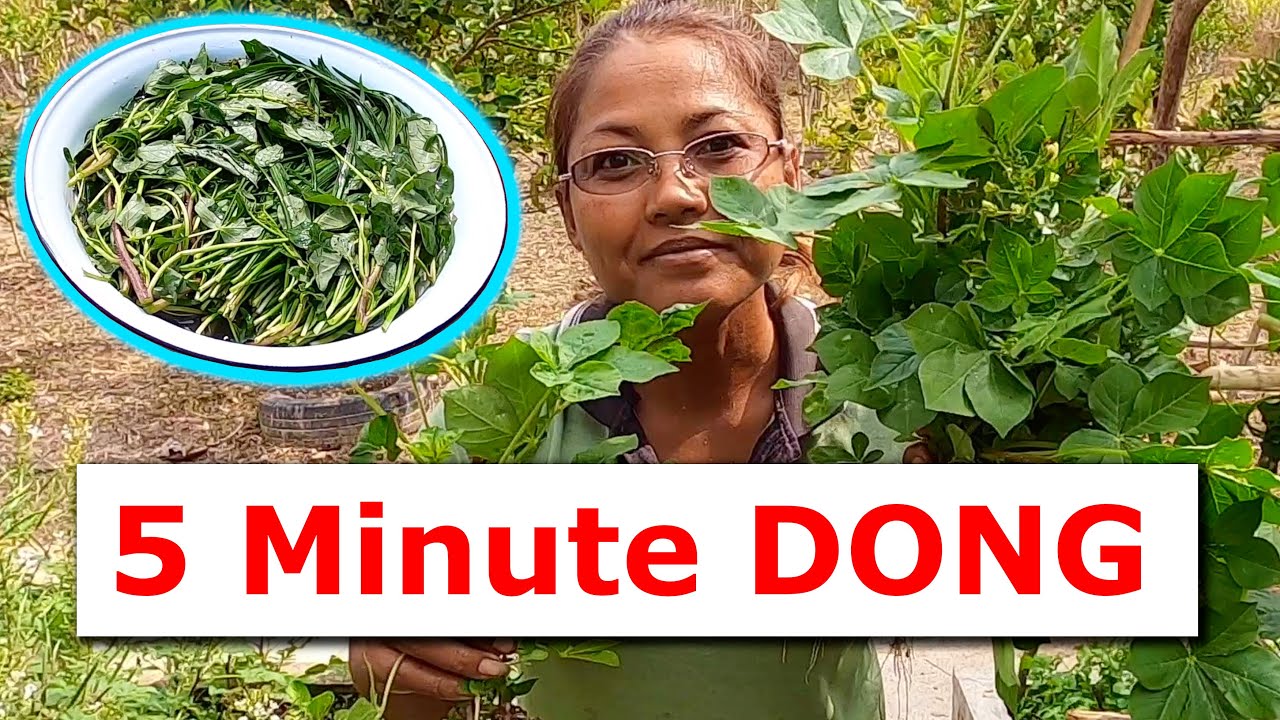 HOW TO Make Fermented Vegetables: Authentic Rural Thailand Food