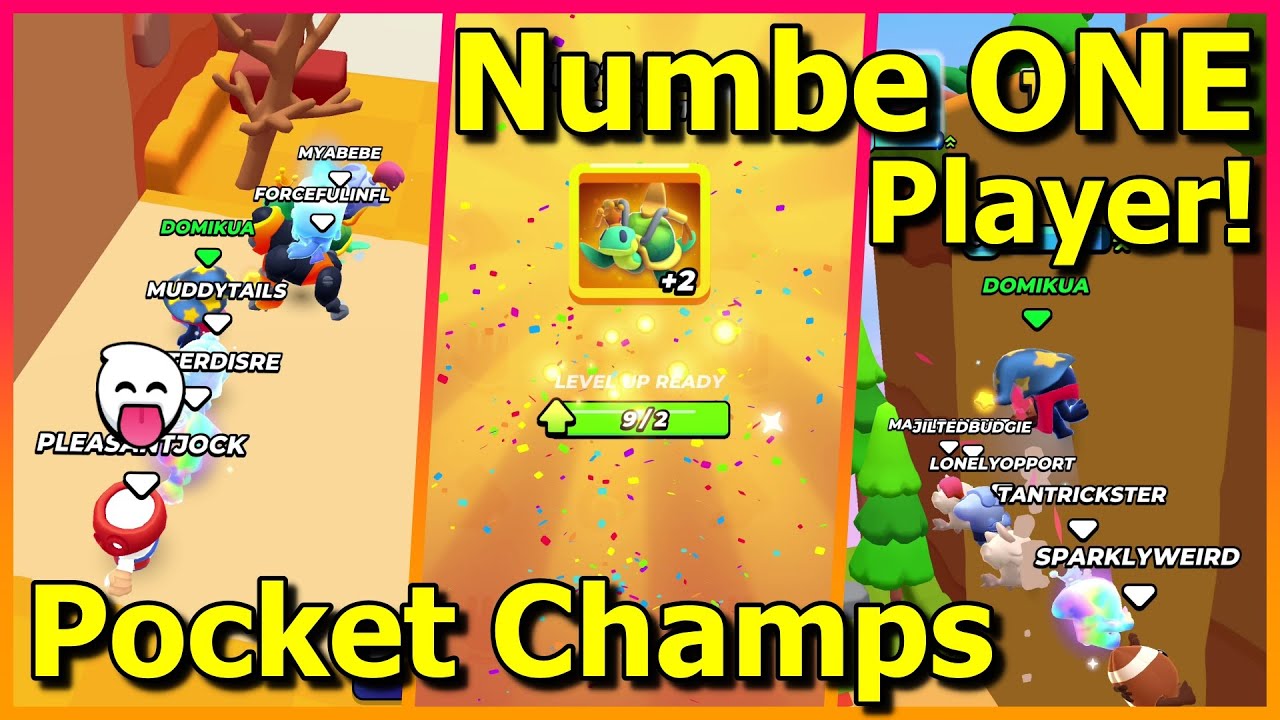 Worlds Number ONE Pocket Champs Player!
