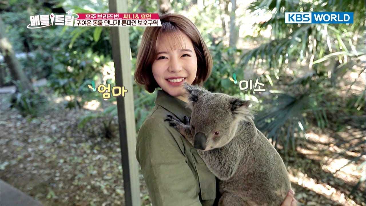 Cute Koala cuddled up in Sunny's arms [Battle Trip/2017.10.22]
