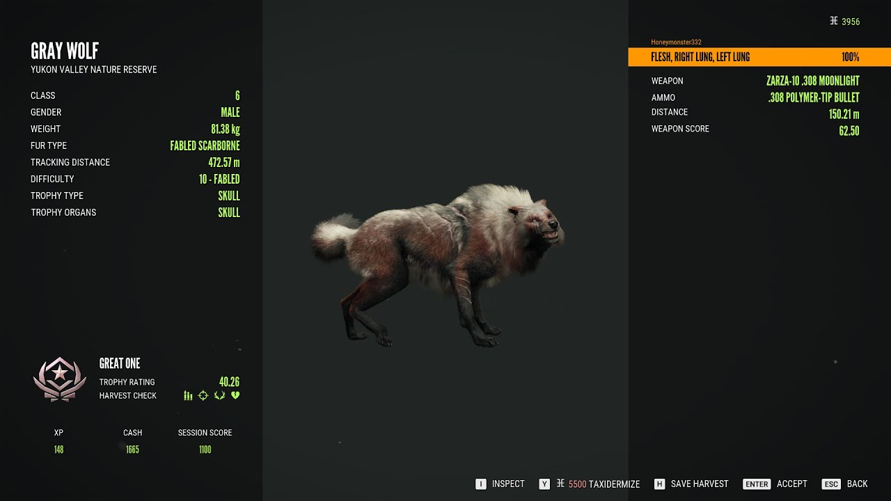 The Hunter Call Of The Wild/still on the grind for my forth greatone grey wolf
