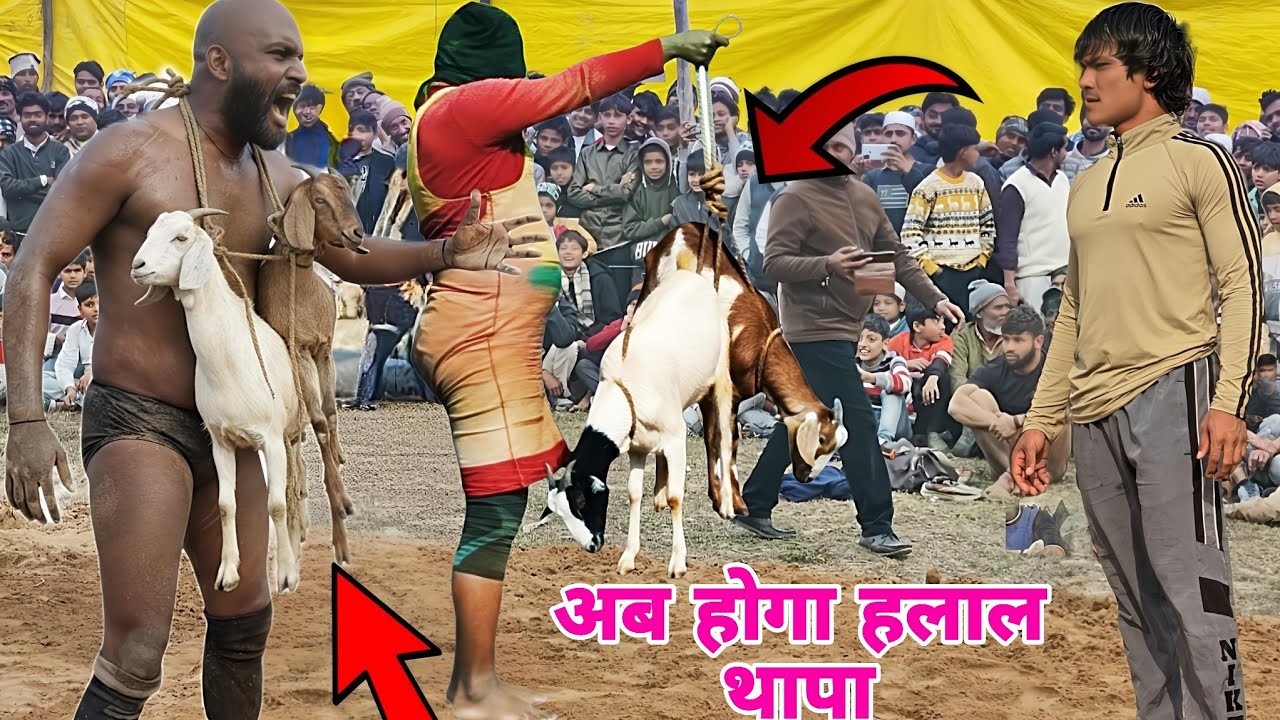 बकरे की अम्मा कब तक खैर मनाएगी,,, थापा की कुर्बानी पक्की,,, भाग नेपाली भाग