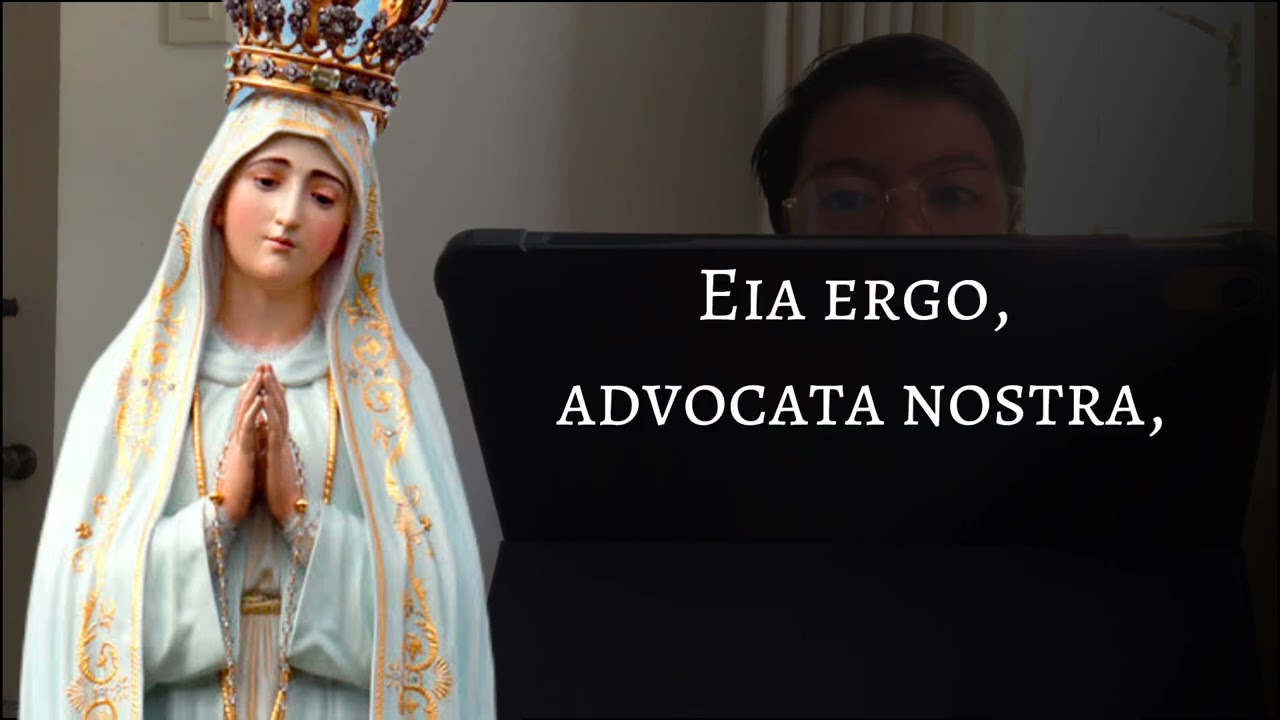 SALVE REGINA | The Stifflernize