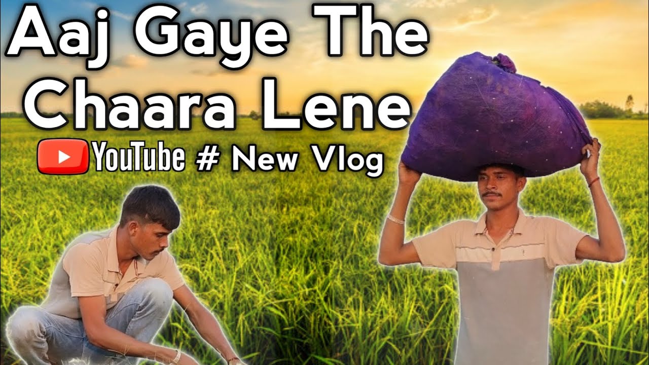 Aaj Gaye the chaara lene ,🌾🍁#new vlogs ❤️👍