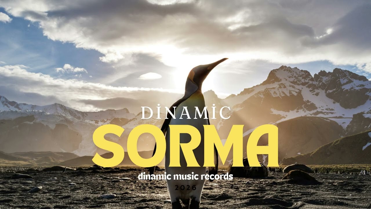 DinaMic - Sorma (Official Video)
