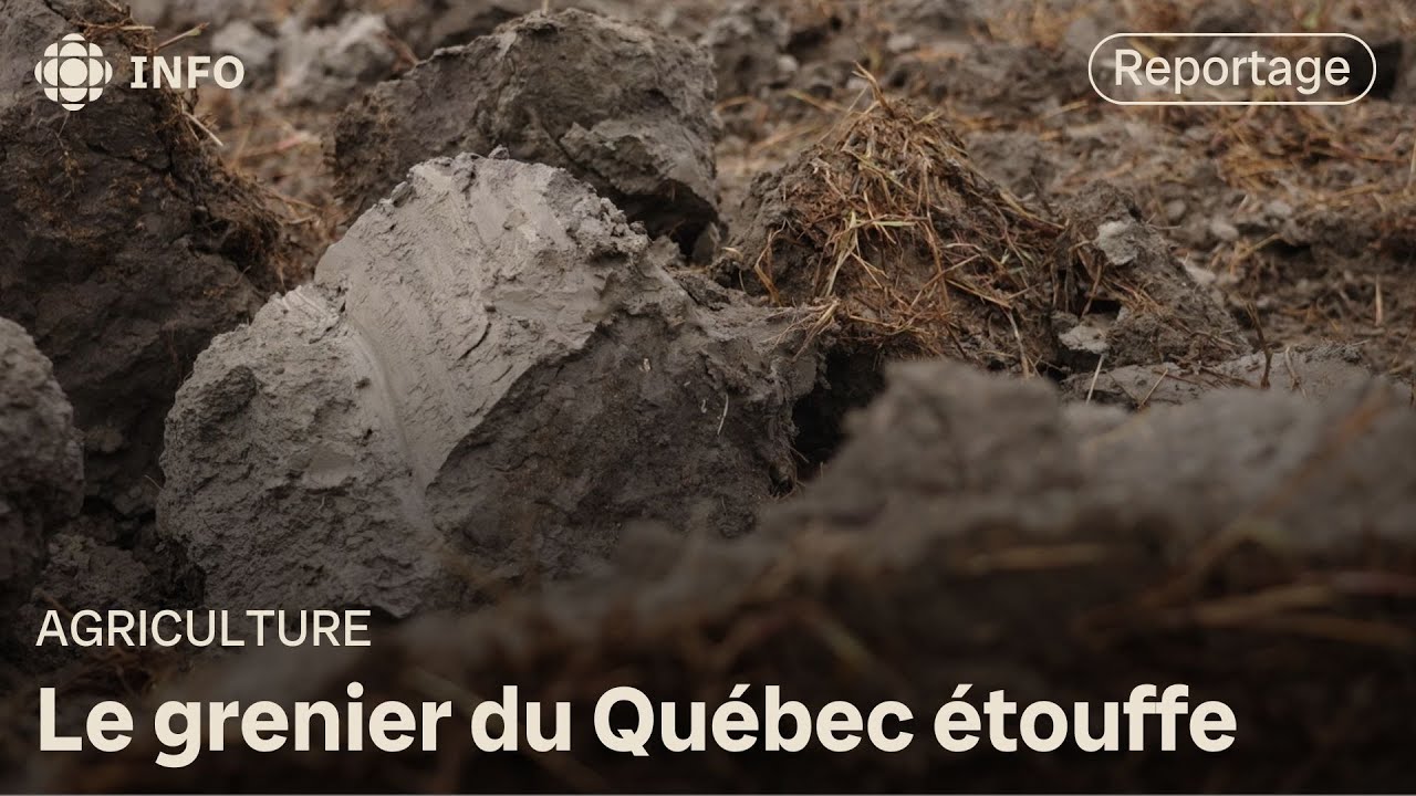 Des agriculteurs s’attaquent au problème de compactage des terres | La semaine verte
