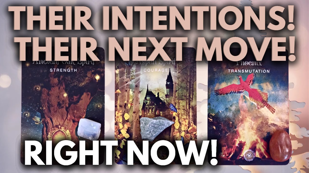 THEIR INTENTIONS TOWARDS YOU RIGHT NOW!! THEIR NEXT MOVE!  ✨🪄PICK A CARD TIMELESS TAROT READING