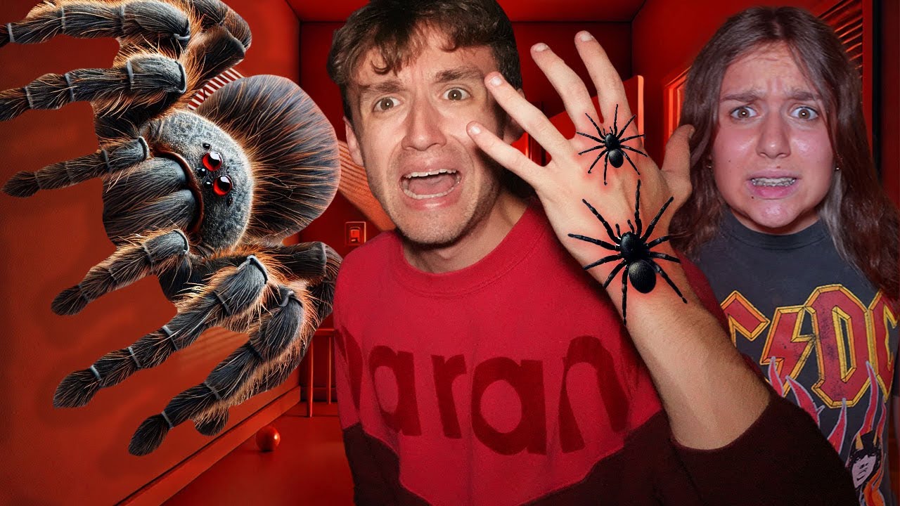 NE PAS SE FAIRE PIQUER PAR L'ARAIGNÉE MAUDITE ! HOMME ARAIGNÉE ! - PINK LILY