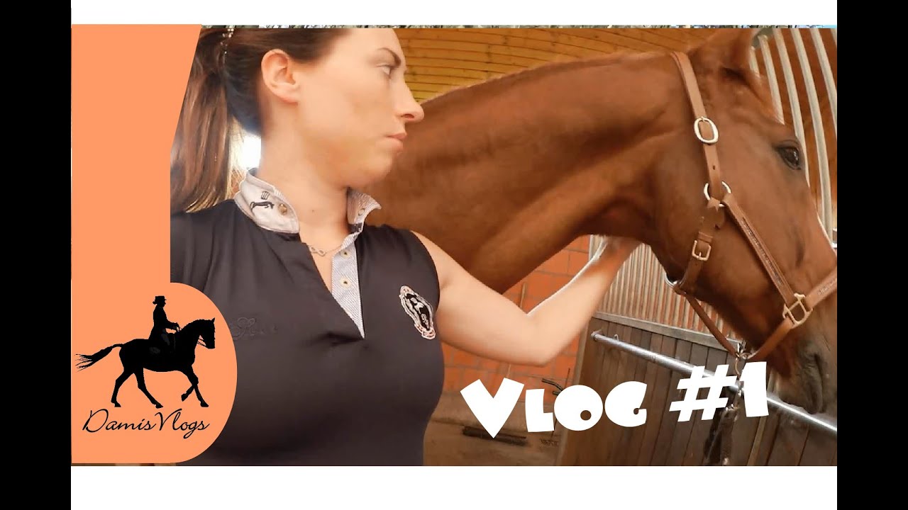 Vlog #1 - Vertrag unterschrieben & Turnier ohne Reitstiefel?!