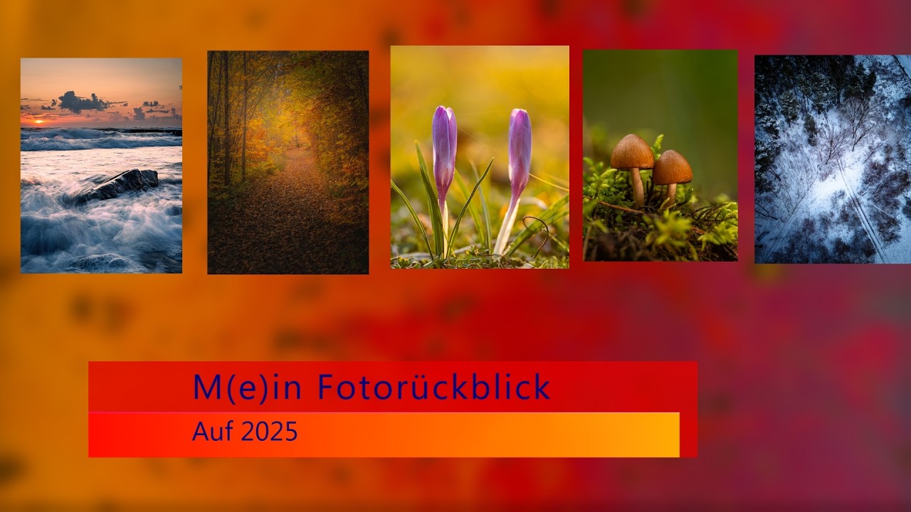 Ein Fotorückblick auf 2025 🎥📸