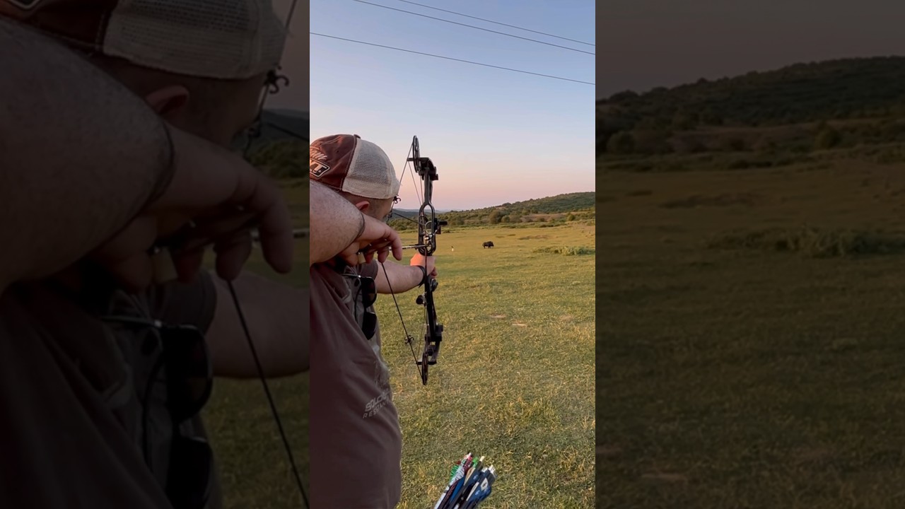 Junxing Makaralı Yay Model: M126, 3D Domuz Hedef! #hunter #compoundbow #crossbow #bowhunting