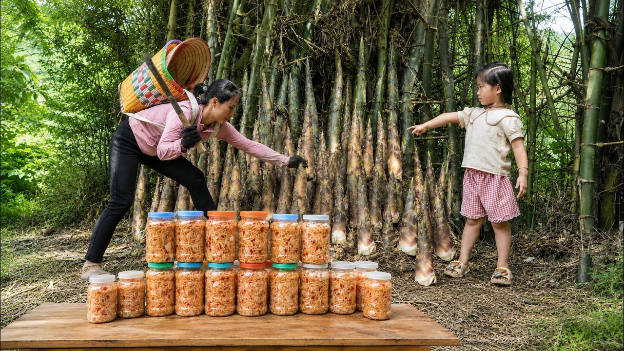 Harvesting thorny bamboo shoots and making super spicy chili bamboo shoots to sell at the market