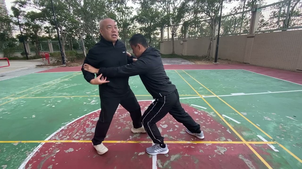 太極自由推手訓練 Tai Chi Free Pushing Hands Training 2026年1月25日