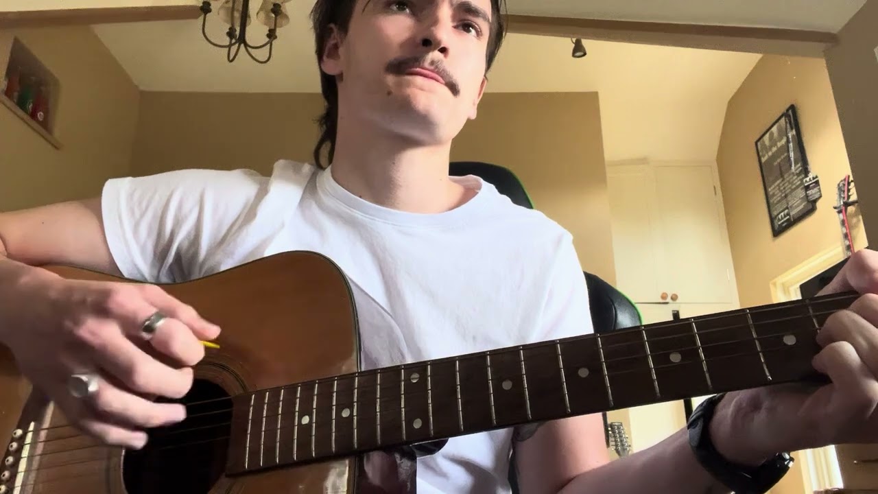 so much wine|phoebe bridgers cover